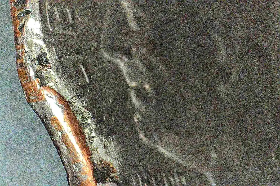 1991-P-Roosevelt-Dime,-Is-This-A-Lamination-Error?